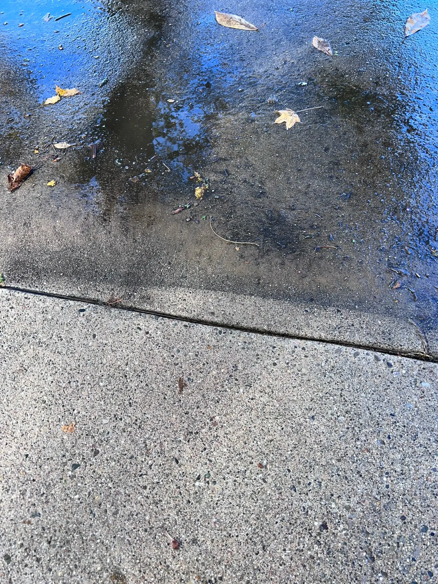 Macomb Power Washing Solutions before and after pressure washing a driveway