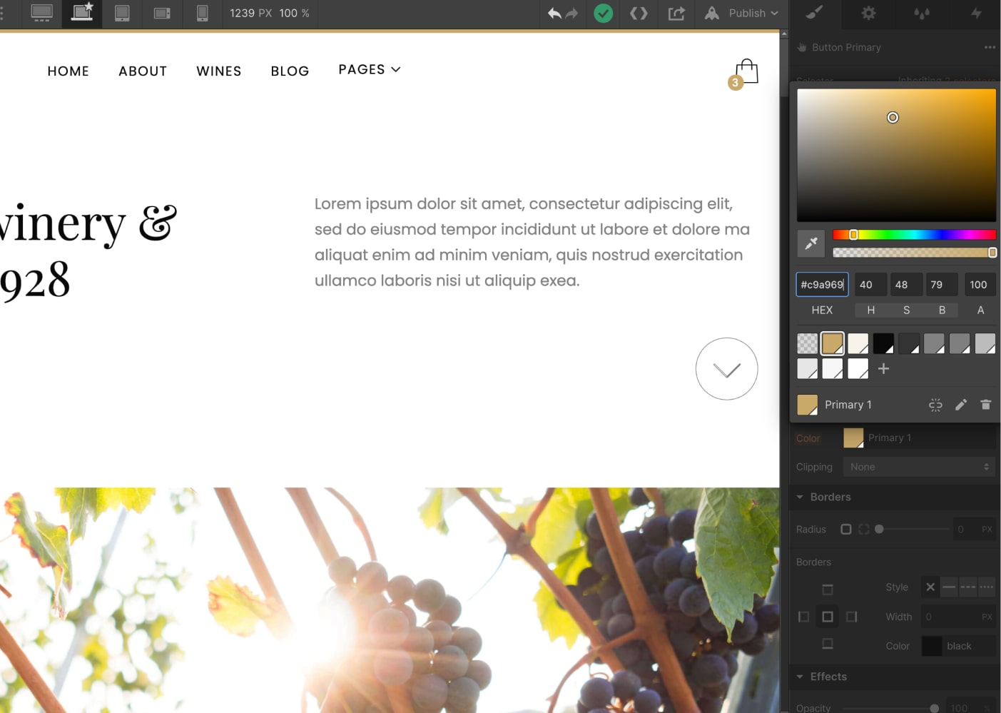 Colors - Winery X Webflow Template