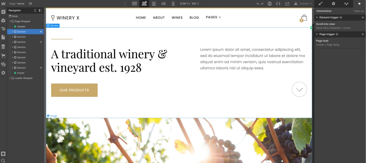 Animations - Winery X Webflow Template
