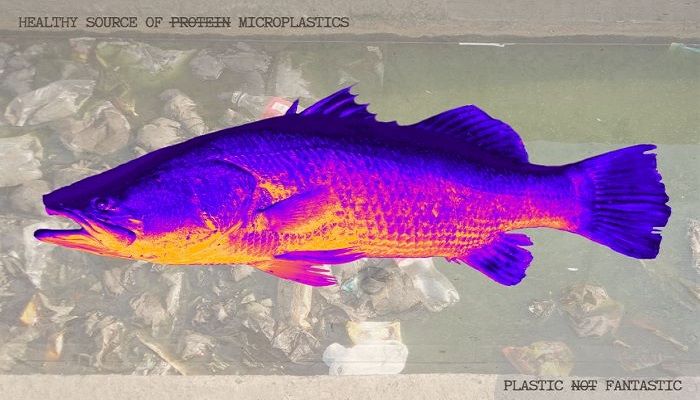 Plastic Foodtures: From hunter-farmers to cleaner-carers (2024)