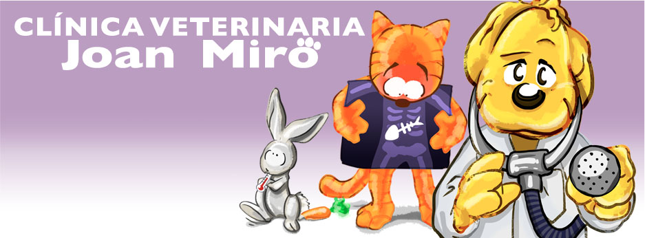 CLÍNICA VETERINARIA JOAN MIRÓ