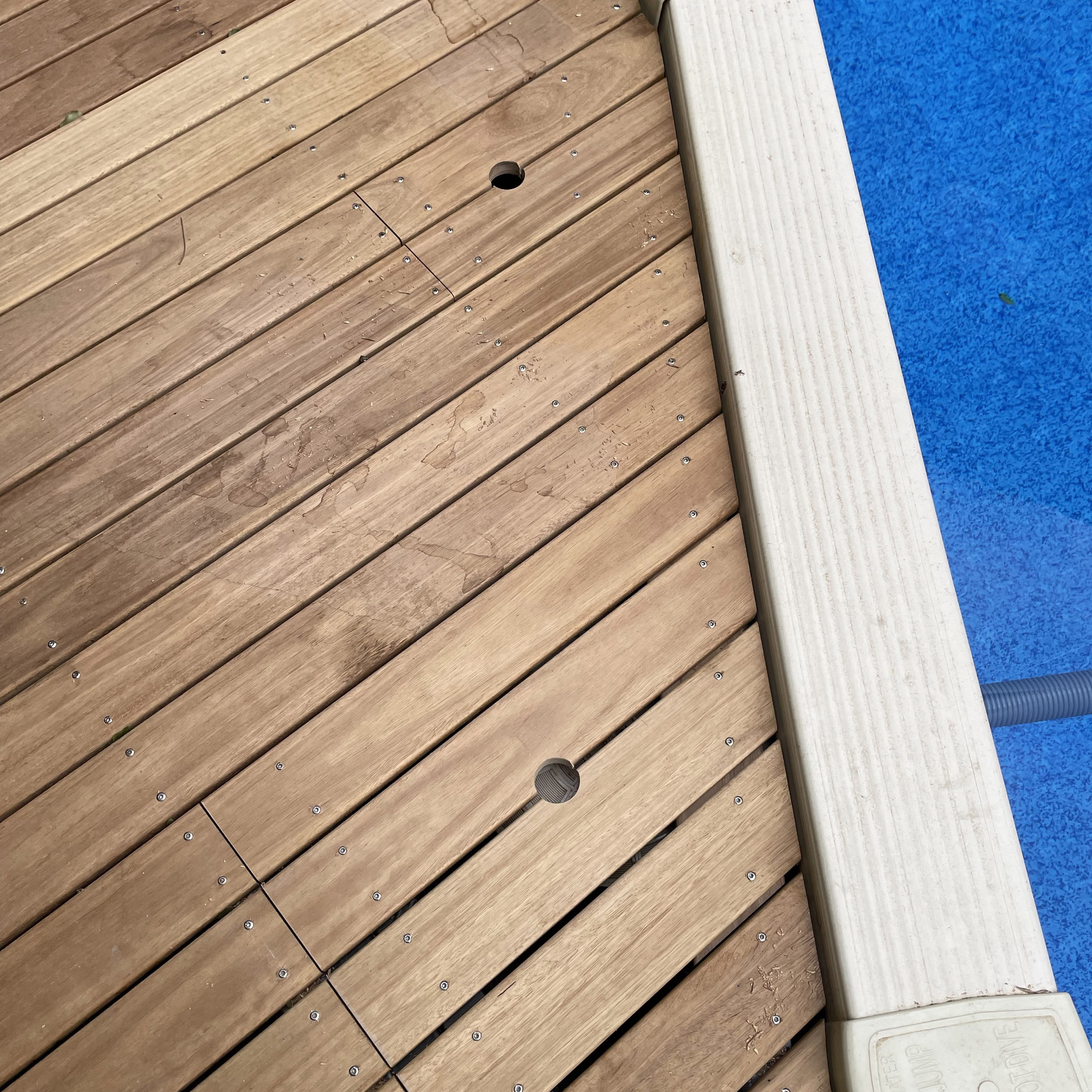 stained deck