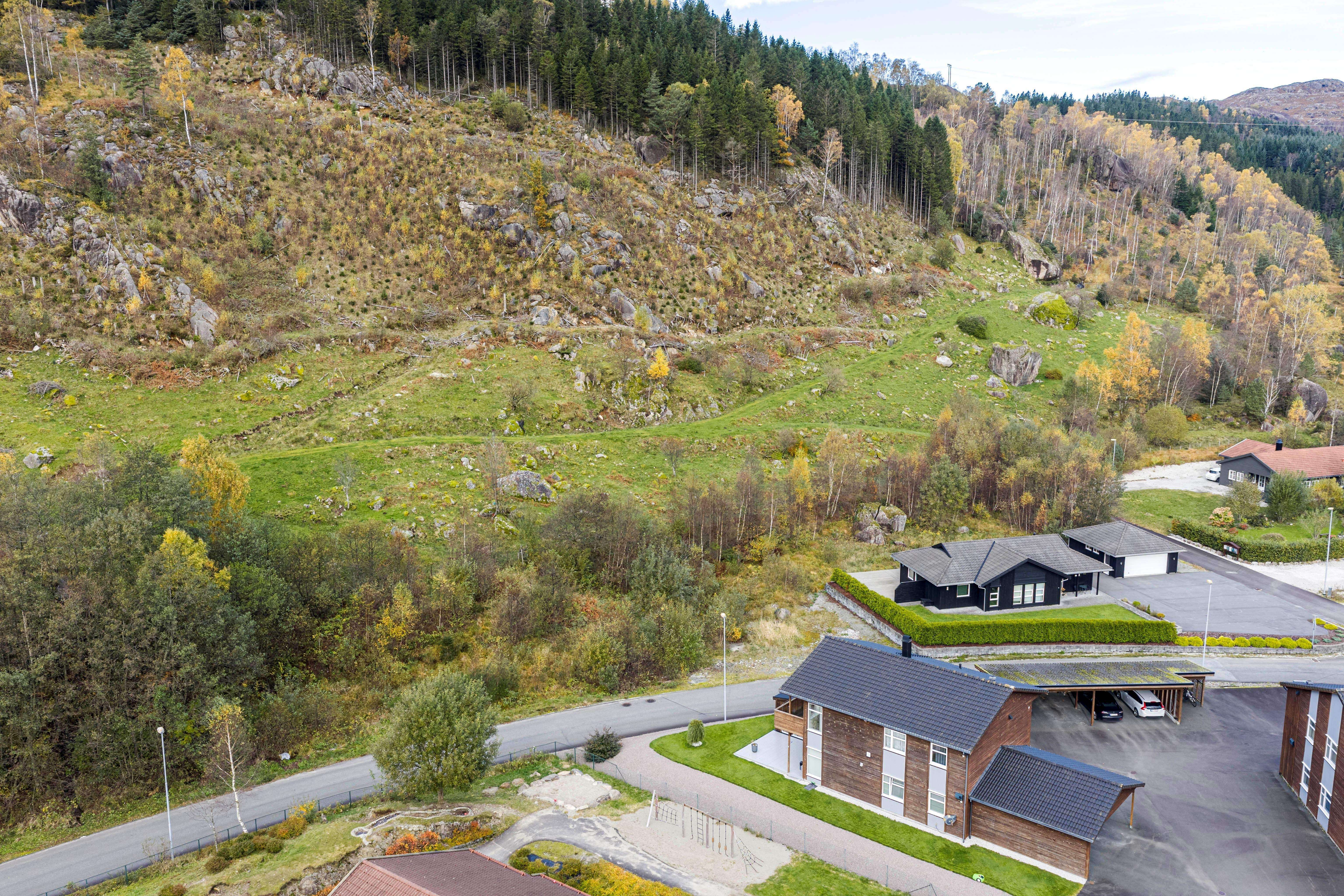 Røyslandsdalen , kommer for salg
