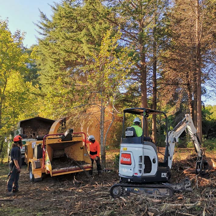 Chip branches into biomass and boost soil heath with mulching. Using our industrial mulcher we can easily process over two tons of chip in 20 minutes.
