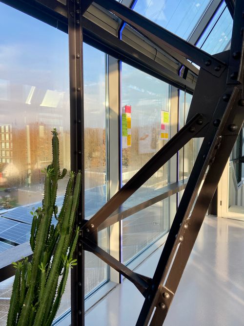 A detail of the Design Sprint room with some sketches on the windows, and a cactus