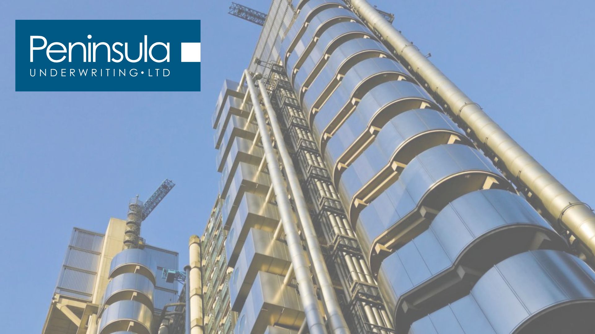 Professional Indemnity vs Directors and Officers Insurance