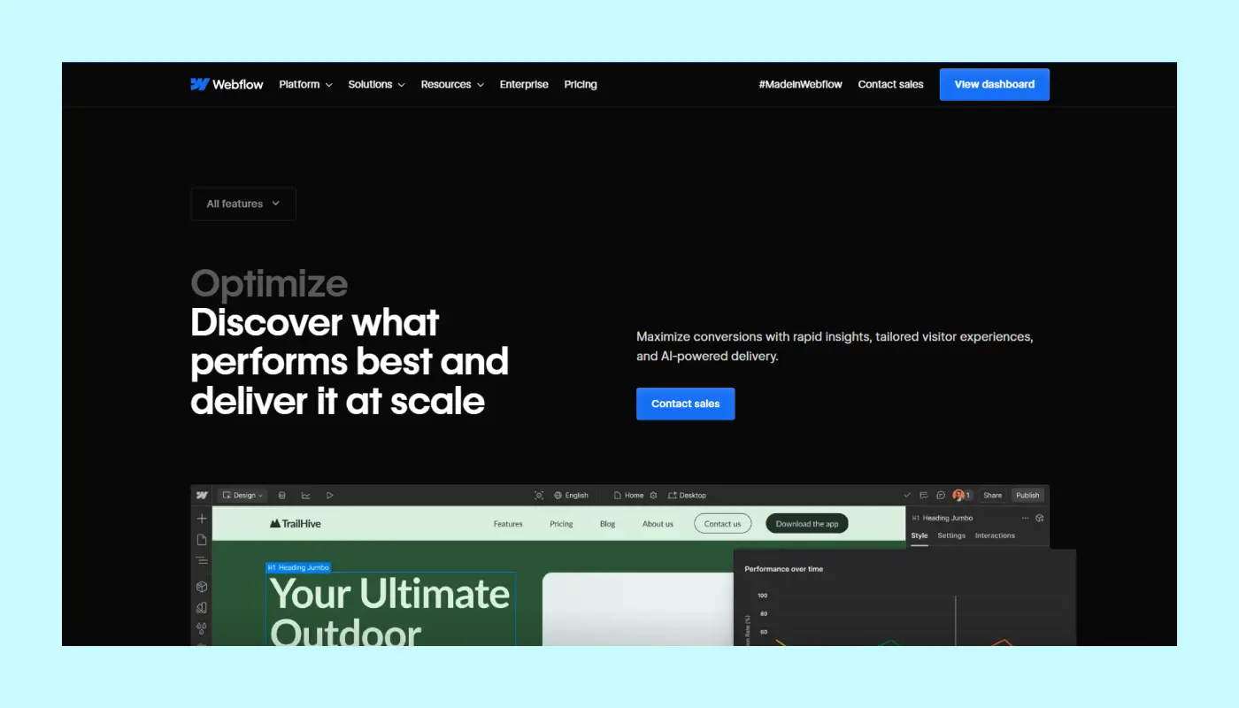 Webflow Performance Optimization