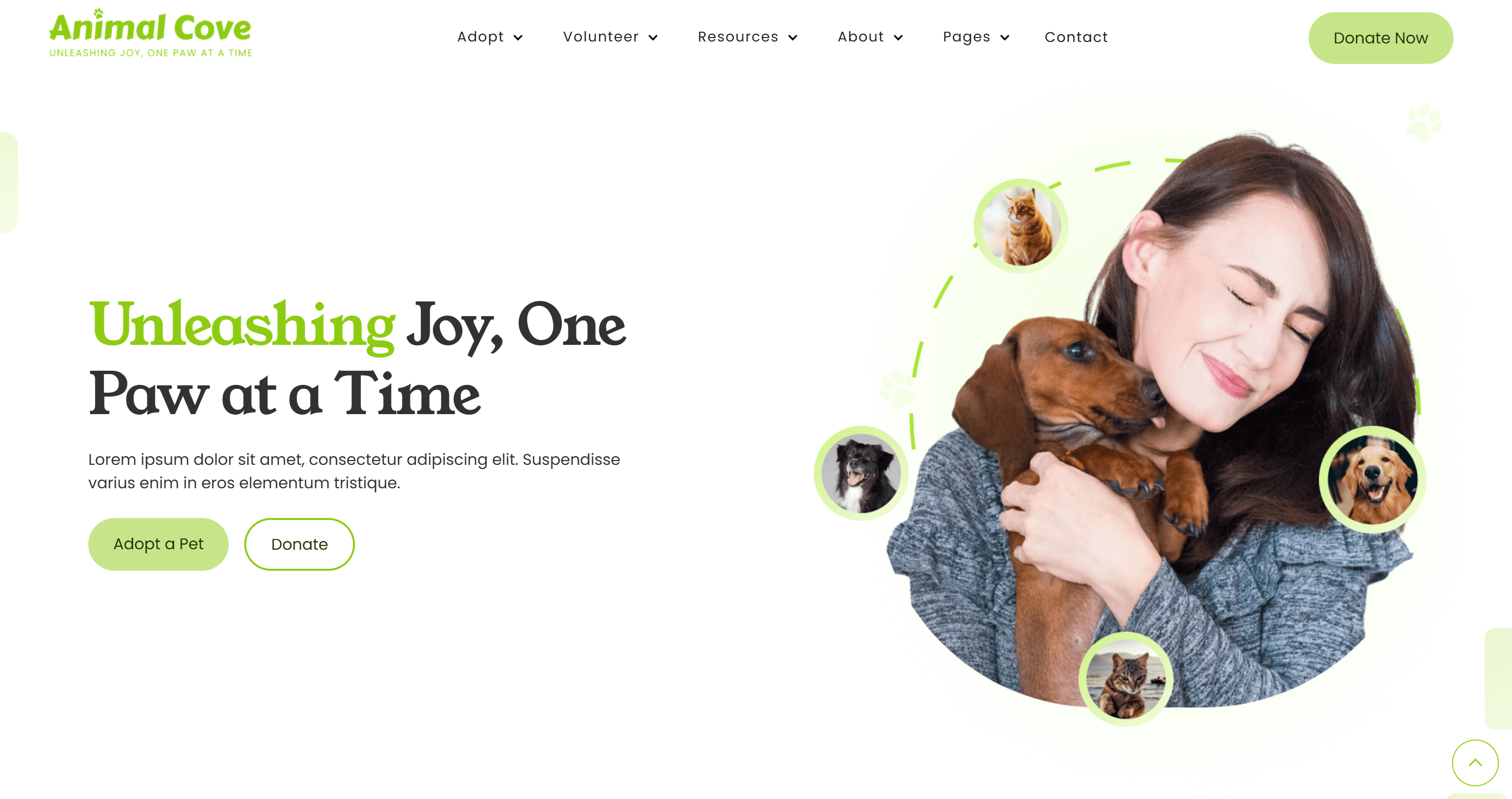 Animal Cove Webflow Template