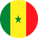 Flag of Senegal