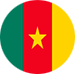 Flag of Cameroon