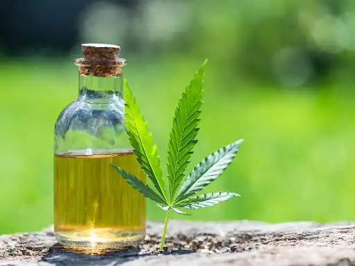 How Can CBD Help Nicotine Withdrawal Symptoms?