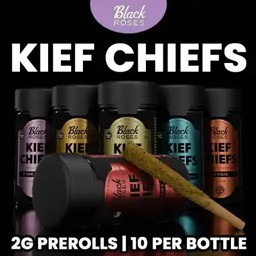 Black Roses - Kief Chiefs Coated THCa Pre Rolls | 10ct - 20g