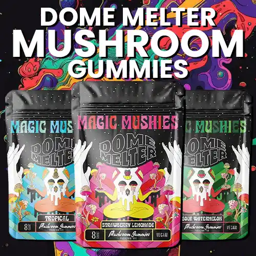 Dome Wrecker - Dome Melter Mushroom Gummies
