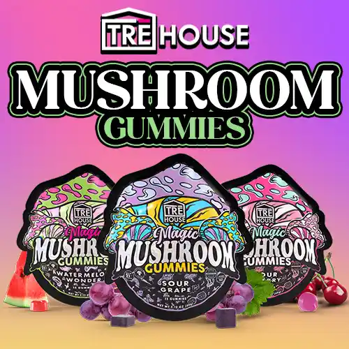 TRĒ House - Mushroom Gummies