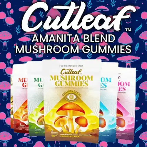 Cutleaf - Mushroom Gummies - Amanita Blend - 1500mg 