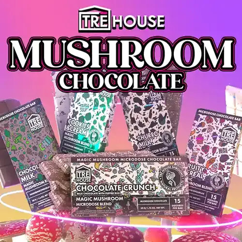 TRĒ House - Mushroom Microdose Chocolate Bar