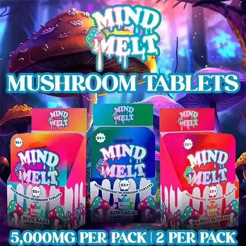 Mind Melt - Neurosporic Mushroom Tablets - 5000mg