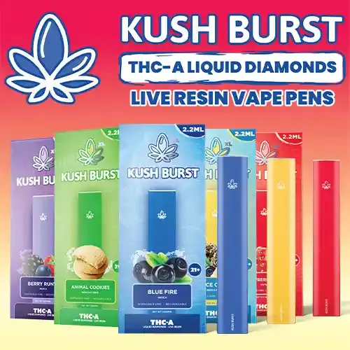 Kush Burst - THCA Liquid Diamonds + Live Resin Vape Pens - 2200mg