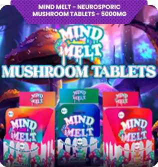 Mind Melt - Neurosporic Mushroom Tablets - 5000mg