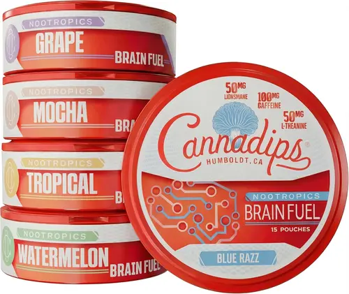 Cannadips - Brain Fuel Nootropics Pouches