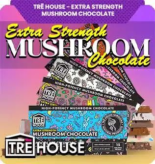 TRĒ House - Extra Strength Mushroom Chocolate