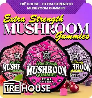 TRĒ House - Extra Strength Mushroom Gummies