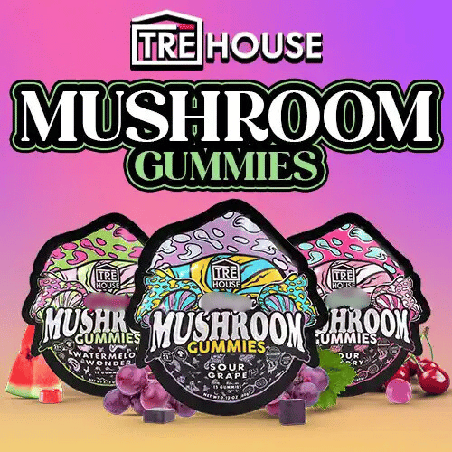 TRĒ House - Mushroom Gummies