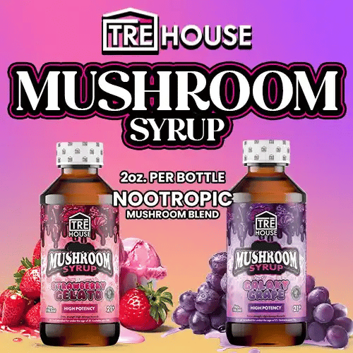 TRĒ House - Mushroom High Potency Syrup