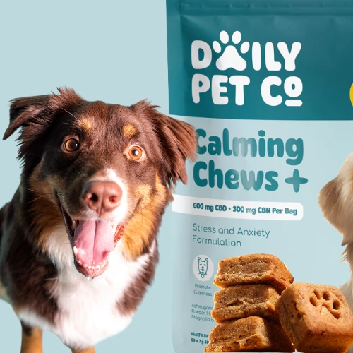 Daily Pet Co - Calming Soft Chews+ for Dogs - CBD + CBN