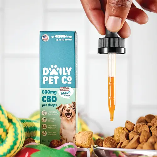 Daily Pet Co - CBD Pet Drops for Dogs - Bacon Flavored