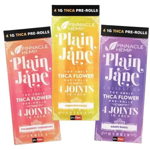 Pinnacle Hemp - Plain Jane THCA Pre-Rolls - 4 count