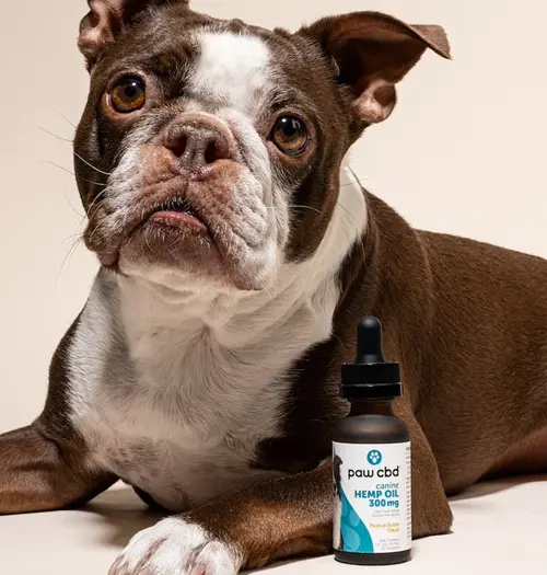 cbdMD - Broad Spectrum CBD Dog Oil Tincture - Peanut Butter