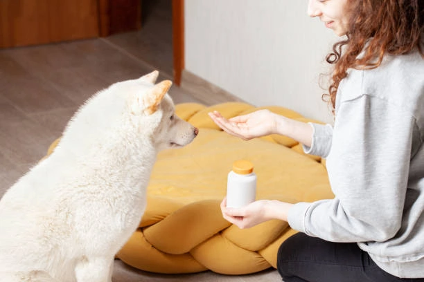Is CBD Good For Pets? Can It Help My Pet?
