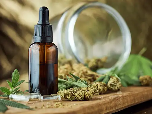 CBD 101 | Basics, Benefits & Buying Tips
