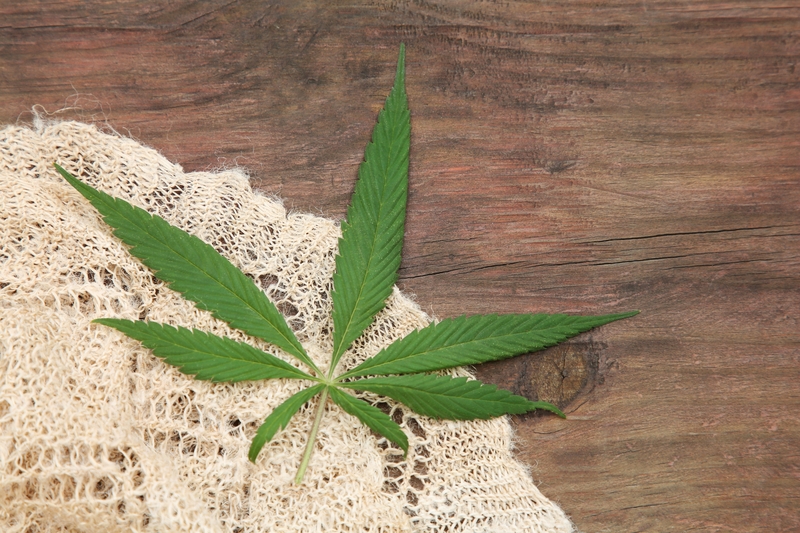 The Federal Hemp Ban is Coming