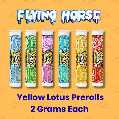 Flying Horse - Yellow Lotus Prerolls - 2g