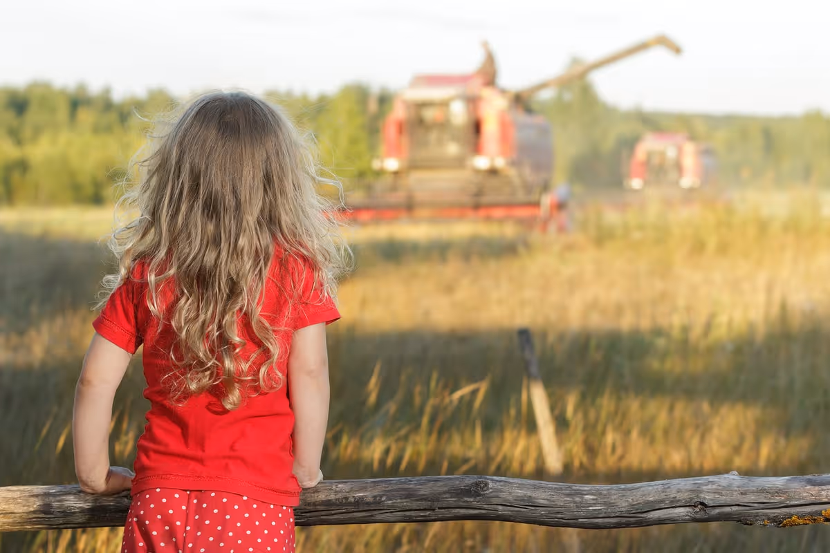 Little girl watching combine harvester