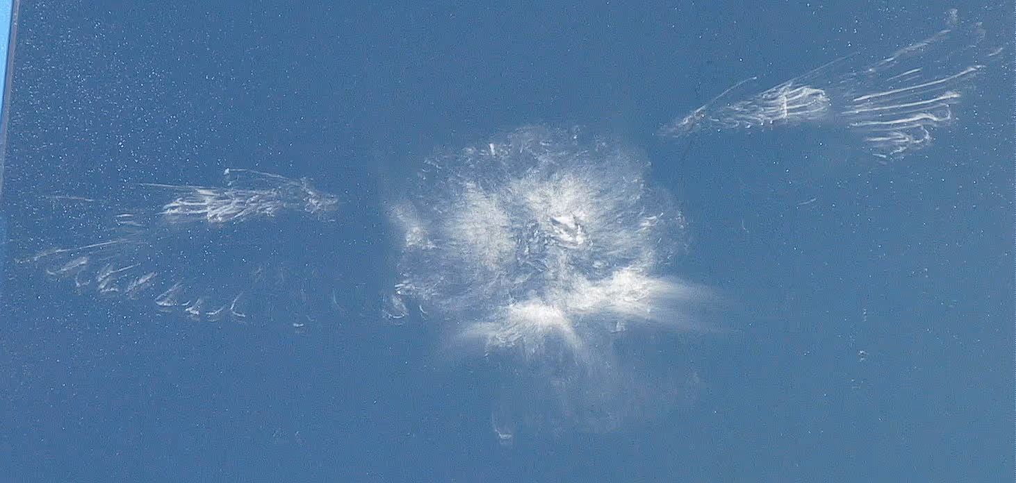 Imprint of a bird on glass window