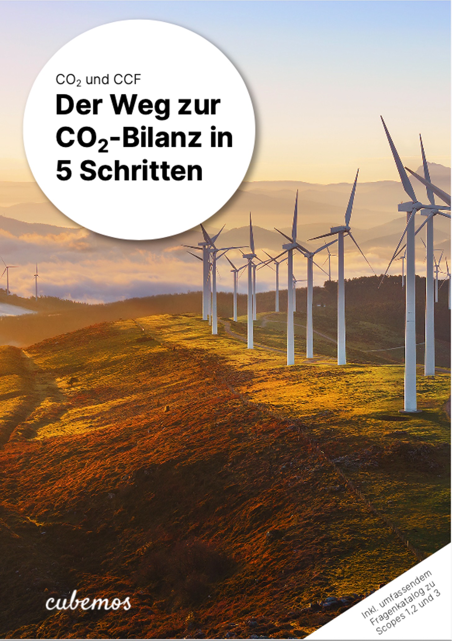 Afbeelding koptekst