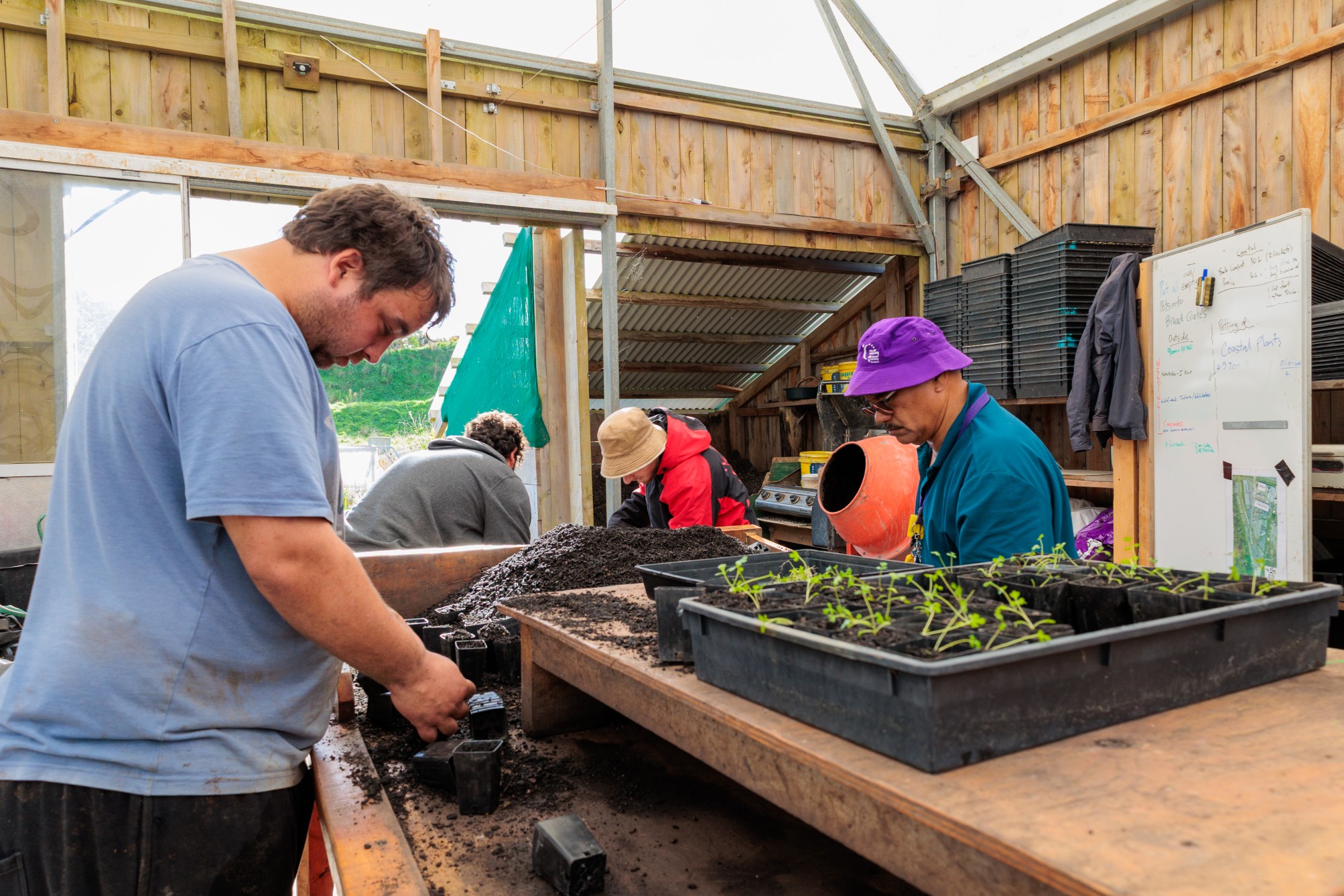 People working inside a wooden nursery shed, filling seed trays with soil and tending young seedlings on a workbench.