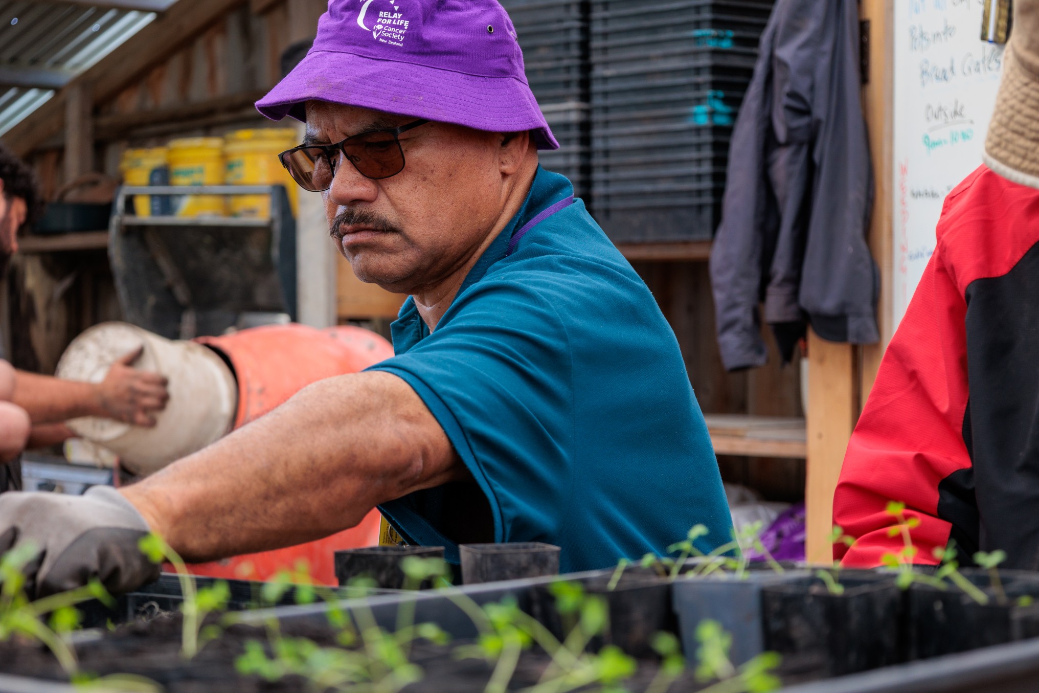 Close-up of a person wearing a purple hat and gloves filling small pots with soil while young seedlings sit in trays in the foreground.
