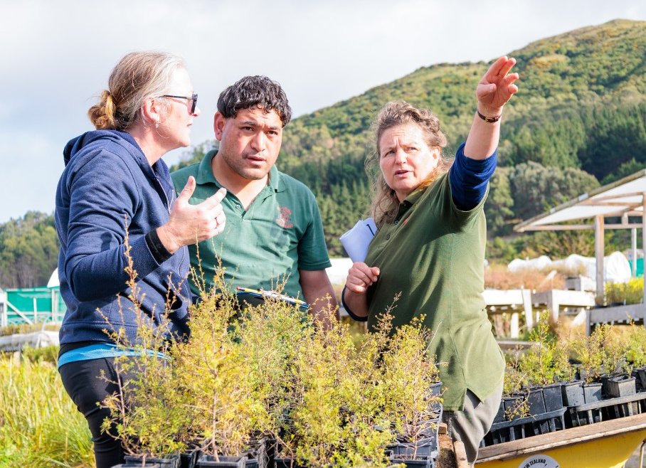 Three people standing beside wheelbarrows filled with native plants, discussing and pointing across a hillside nursery site.