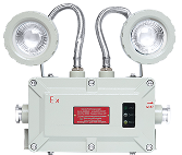 Explosion Proof Emergency Light Svg Img