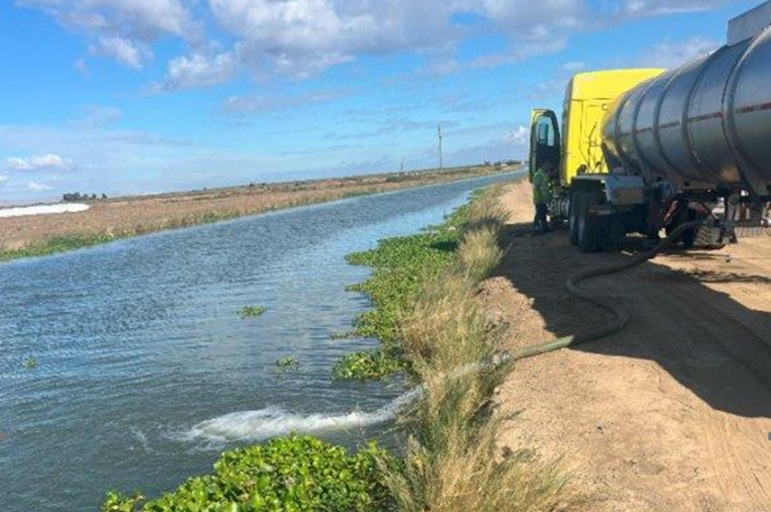 Turning Tomatoes into Water: Botanical Water Technologies and Ingomar Packing Replenish the CCID Canal in Drought-Stricken San Joaquin ValleyLos...