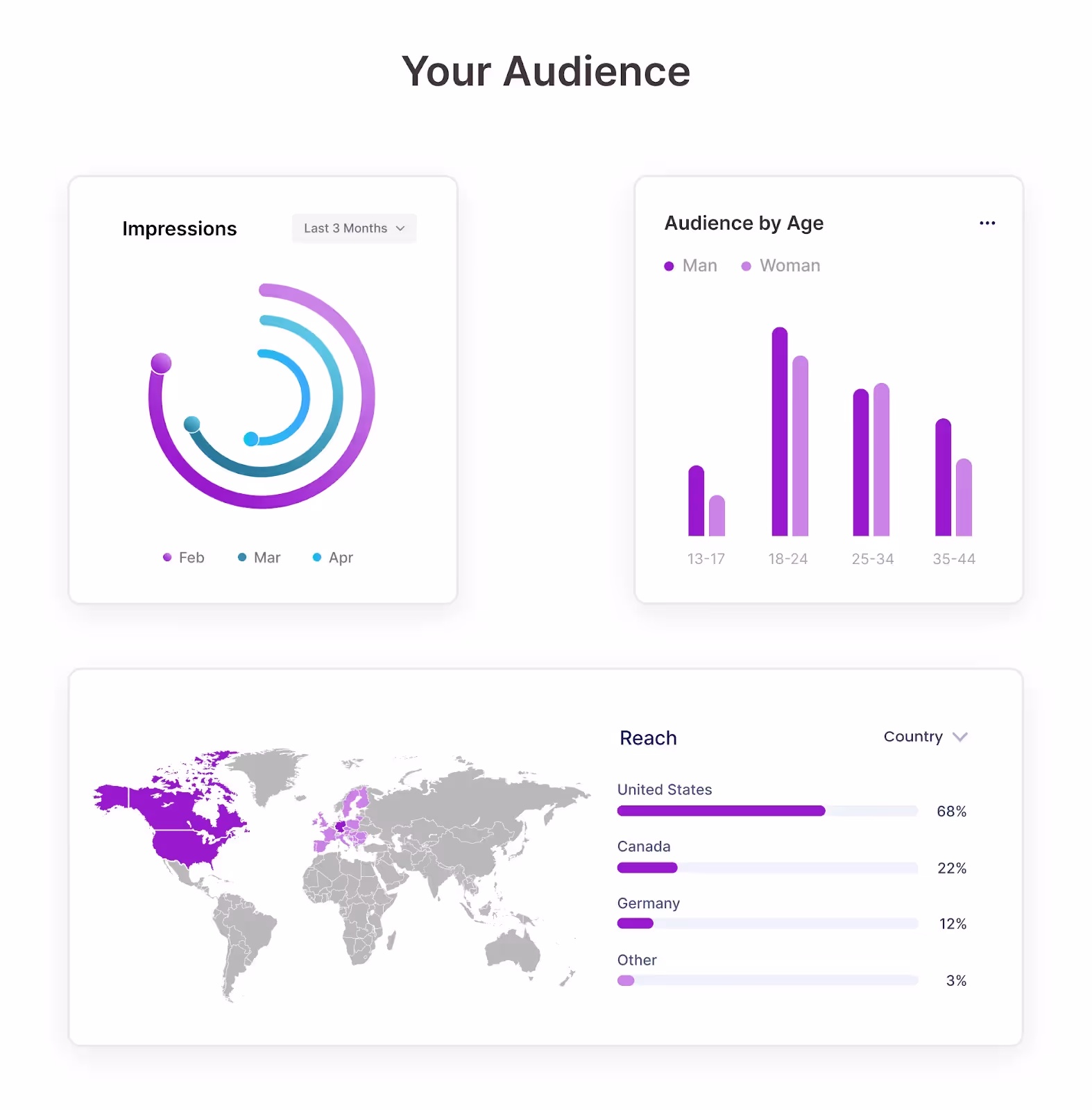 Get insights into the influencer's audience using Phyllo API