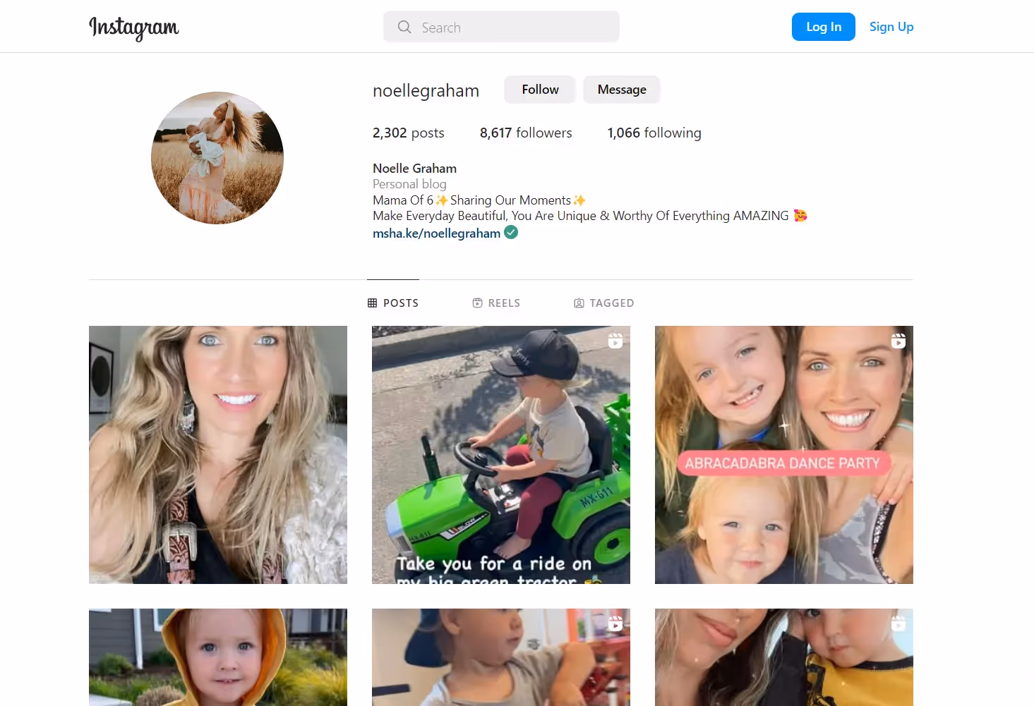 Mom nano influencer Noelle Graham’s Instagram profile snapshot