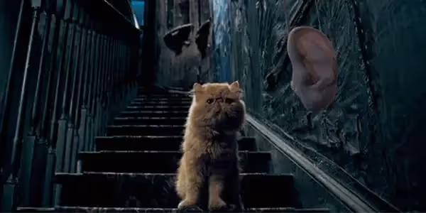 social media platforms, social media conversations, social media listening, social media listening tools, media listening, social media monitoring,