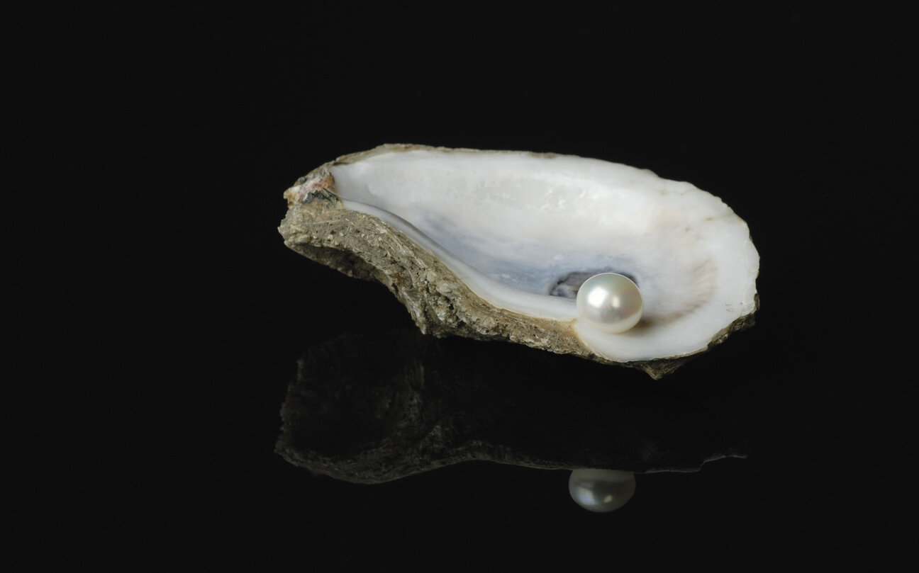pearl.jpg