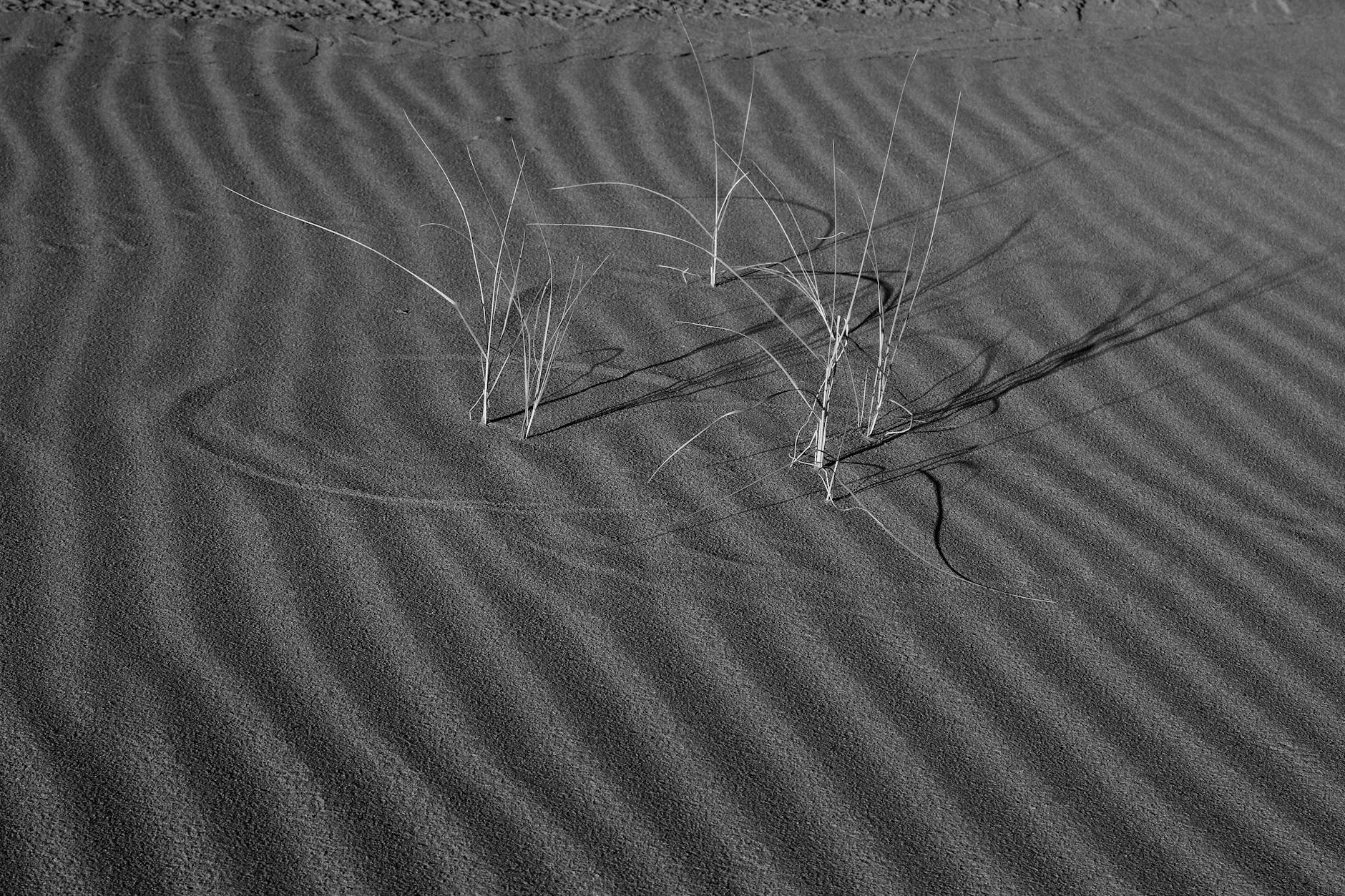 Line in the Sand for Iran