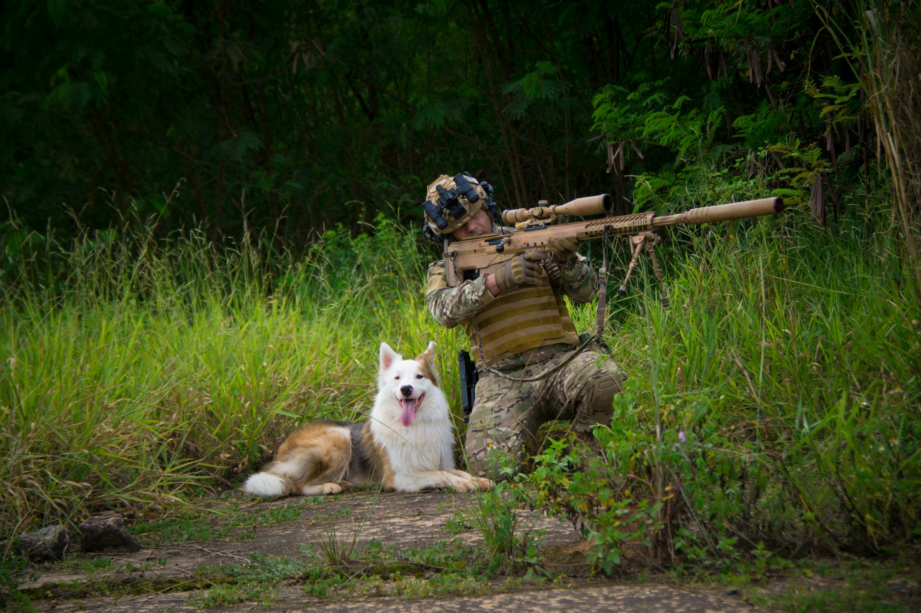 Grunt Style Funny Shorts: Attack Dog